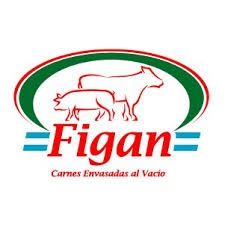 Figan